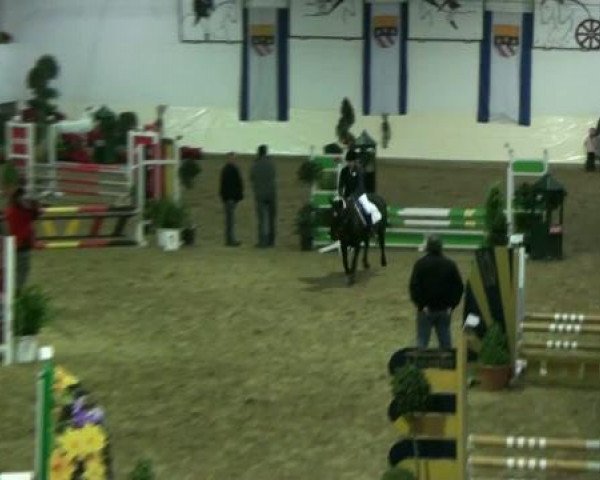 Legdener Ponymeeting 2011