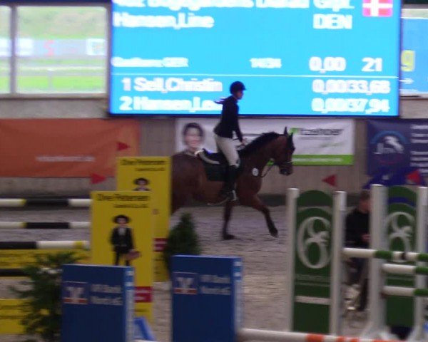Reitturnier Niebüll - Jumping Team Nord 2024
