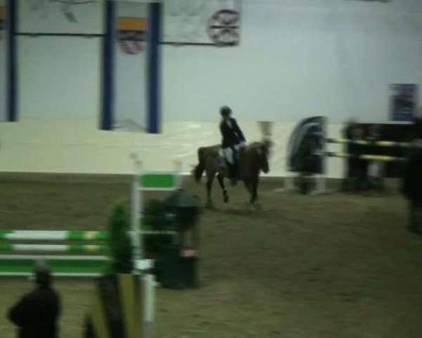 Legdener Ponymeeting 2011