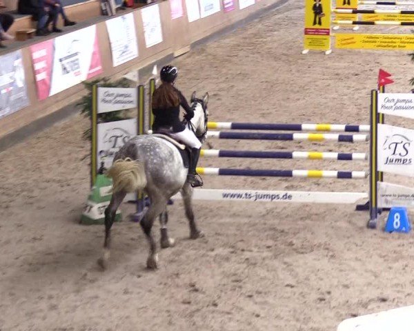 Reitturnier Niebüll - Jumping Team Nord 2024