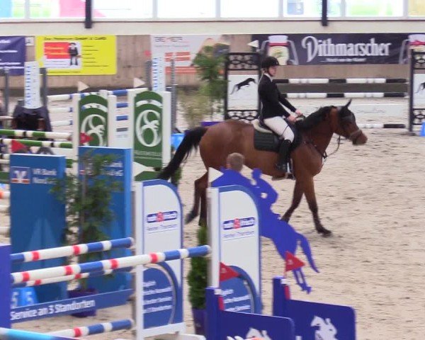 Reitturnier Niebüll - Jumping Team Nord 2024