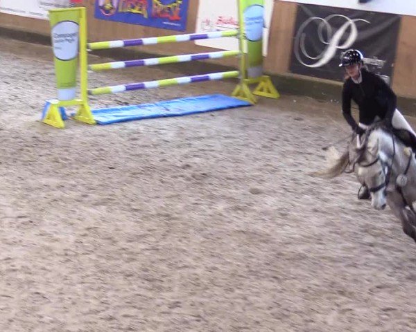 Reitturnier Niebüll - Jumping Team Nord 2024
