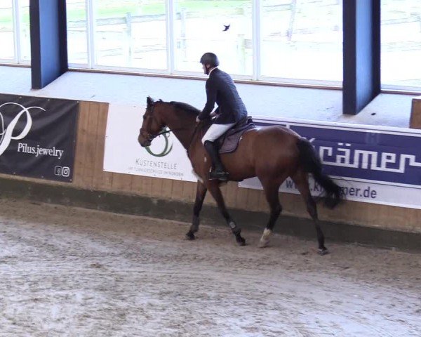 Reitturnier Niebüll - Jumping Team Nord 2024