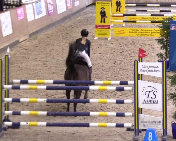 Reitturnier Niebüll - Jumping Team Nord 2024