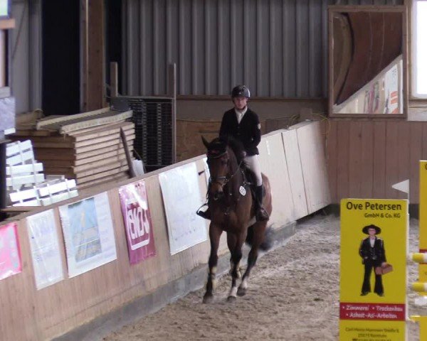 Reitturnier Niebüll - Jumping Team Nord 2024