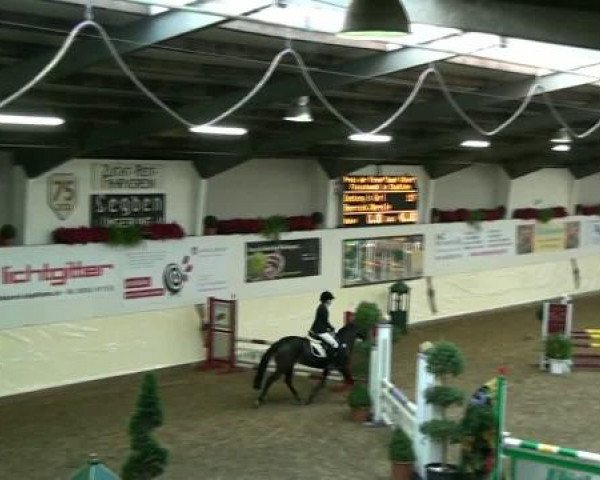 Legdener Ponymeeting 2011