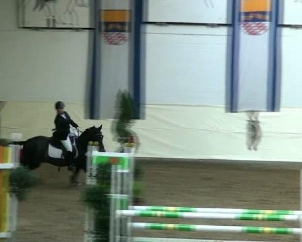 Legdener Ponymeeting 2011