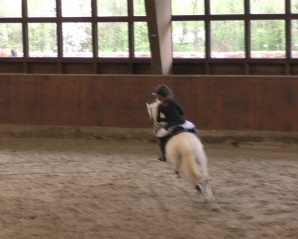 Reitturnier Päse 2024