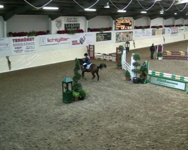 Legdener Ponymeeting 2011