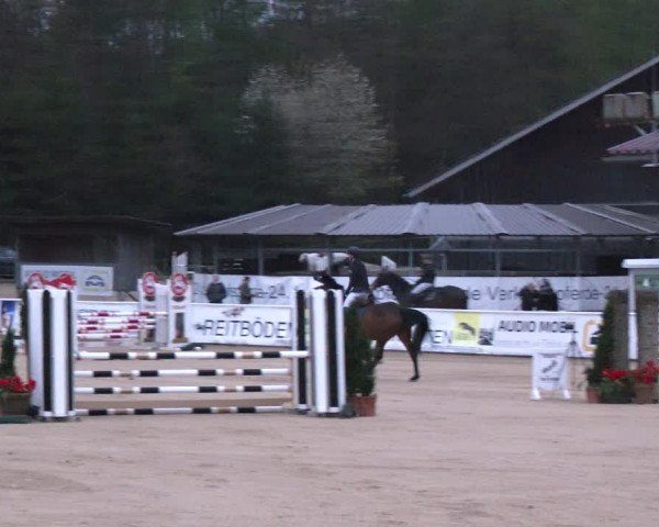 Reitturnier Ranshofen - Braunau am Inn 2024