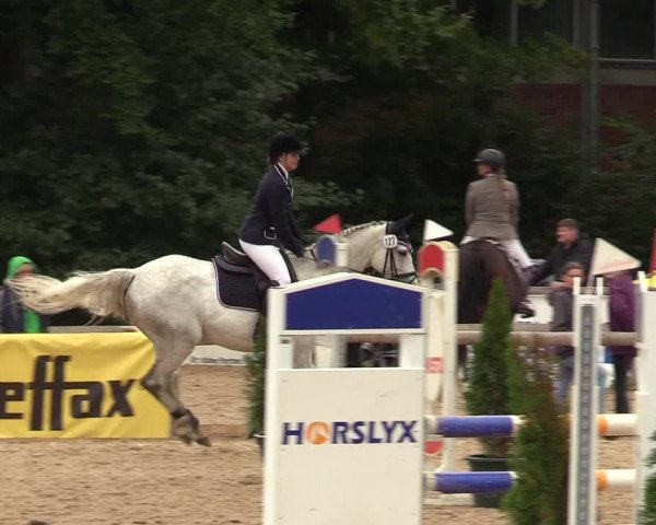 Reitturnier Albersdorf Dithmarsenpark 2021