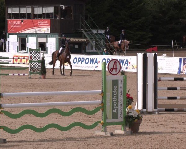 Reitturnier Ranshofen - Braunau am Inn 2024