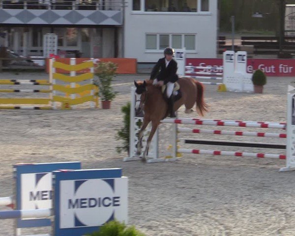 Reitturnier Balve-Wocklum 2024