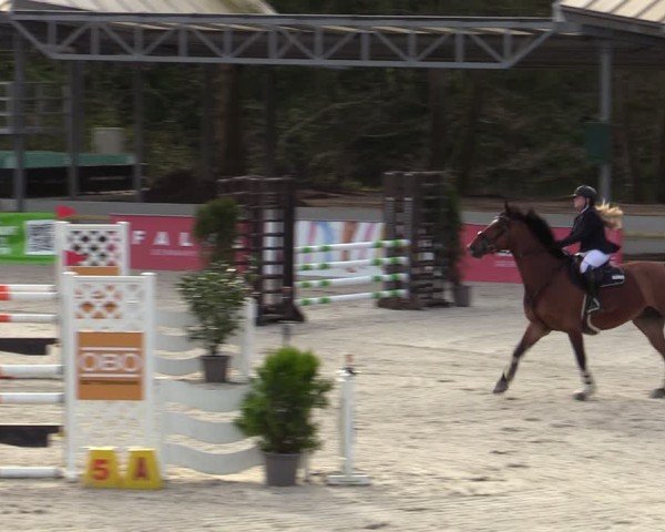 Reitturnier Balve-Wocklum 2024