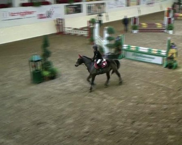 Legdener Ponymeeting 2011
