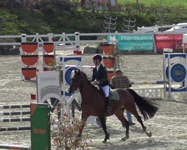 Reitturnier St. Margarethen 2024