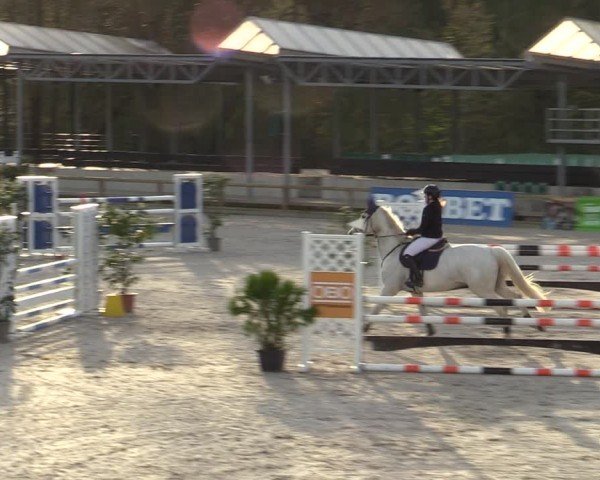 Reitturnier Balve-Wocklum 2024