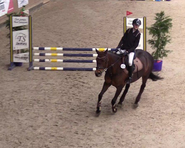 Reitturnier Niebüll - Jumping Team Nord 2024