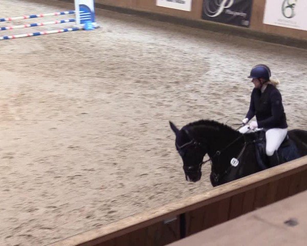 Reitturnier Niebüll - Jumping Team Nord 2024