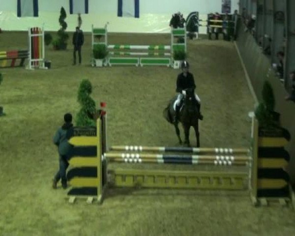 Legdener Ponymeeting 2011