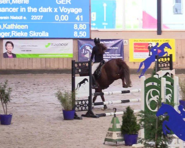 Reitturnier Niebüll - Jumping Team Nord 2024