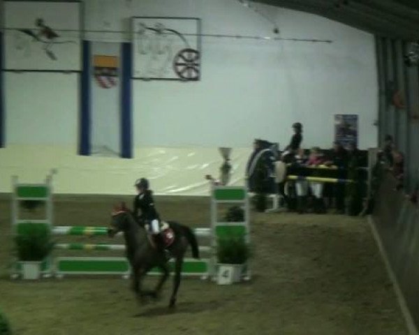 Legdener Ponymeeting 2011