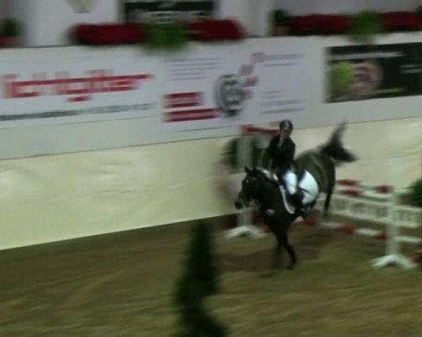 Legdener Ponymeeting 2011