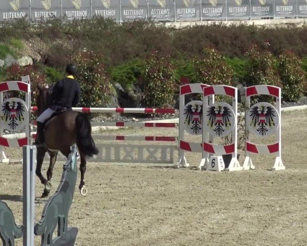 Reitturnier St. Margarethen 2024