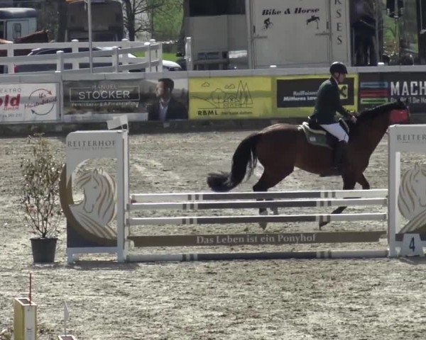 Reitturnier St. Margarethen 2024