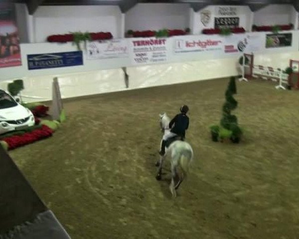 Legdener Ponymeeting 2011