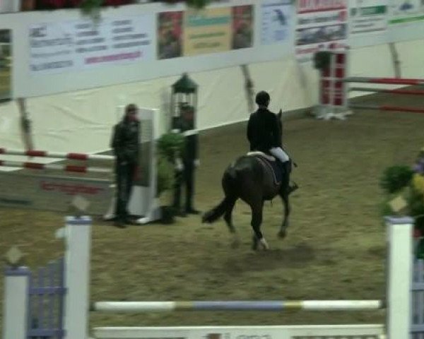 Legdener Ponymeeting 2011