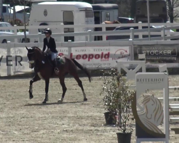 Reitturnier St. Margarethen 2024