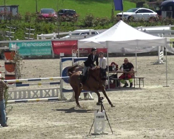 Reitturnier St. Margarethen 2024