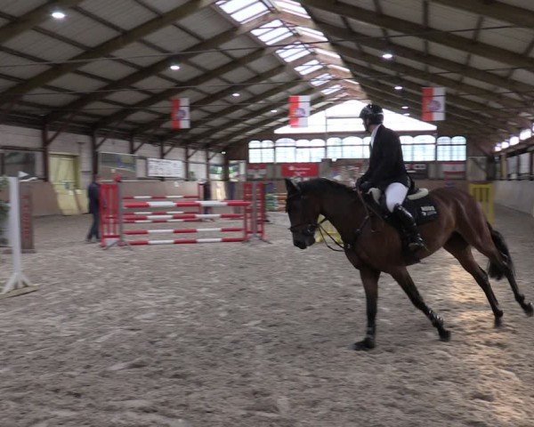 Reitturnier Elisenau 2024