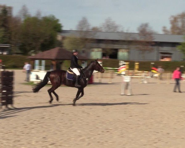 Reitturnier Pietzpuhl 2024