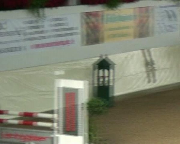 Legdener Ponymeeting 2011
