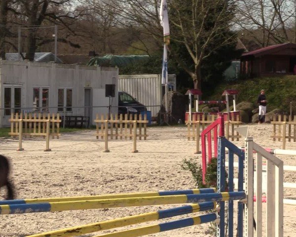 Reitturnier Pietzpuhl 2024