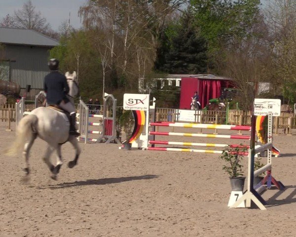 Reitturnier Pietzpuhl 2024