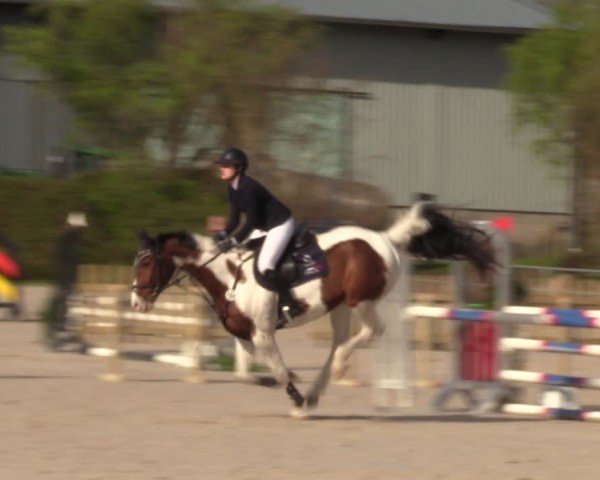 Reitturnier Pietzpuhl 2024
