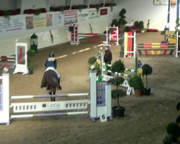 Reitturnier Legden 2011