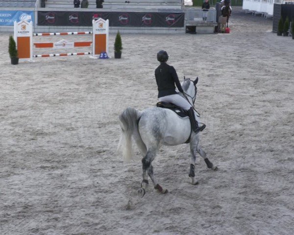 Reitturnier Aachen 2024