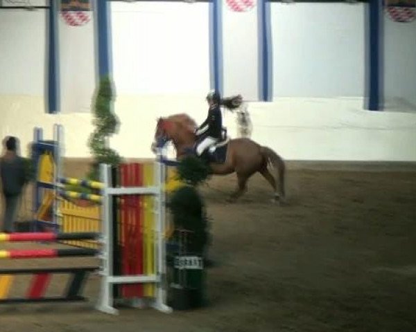 Legdener Ponymeeting 2011
