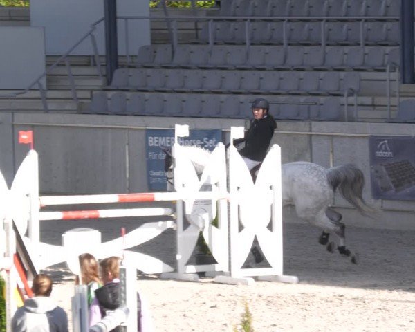 Reitturnier Aachen 2024