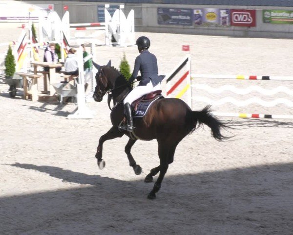 Reitturnier Aachen 2024