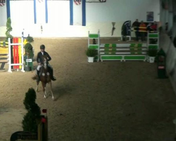 Legdener Ponymeeting 2011