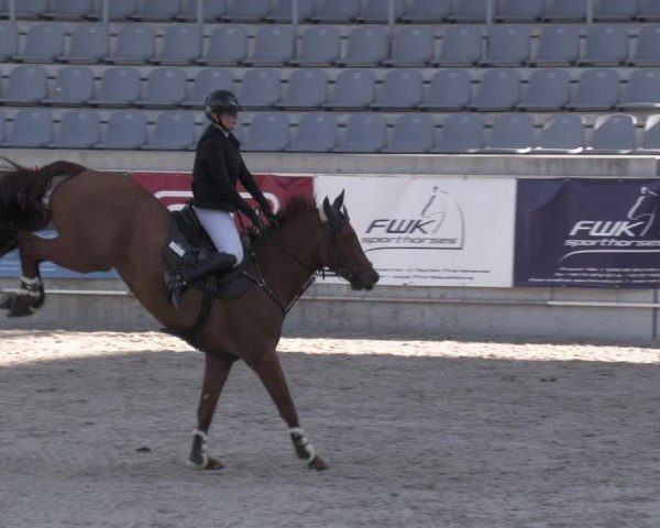 Reitturnier Aachen 2024