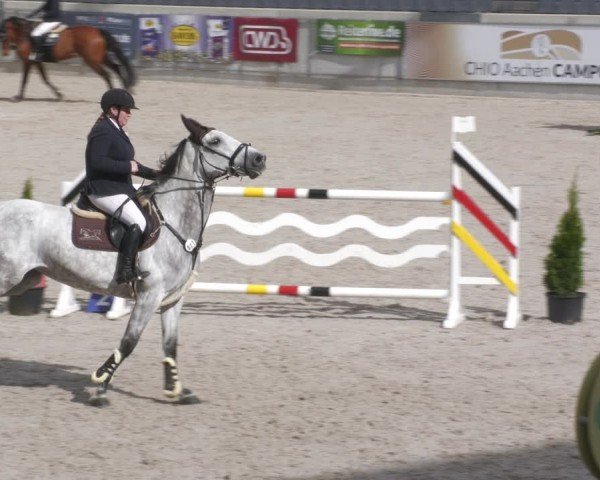 Reitturnier Aachen 2024