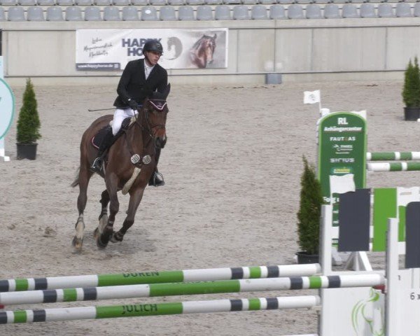 Reitturnier Aachen 2024