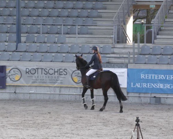 Reitturnier Aachen 2024