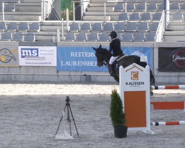 Reitturnier Aachen 2024